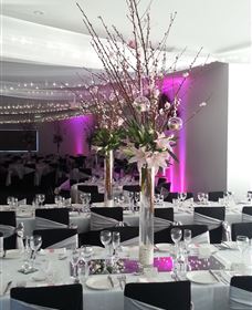 Cookabarra Restaurant And Function Centre - Tailor Made Fish Farms - New Castle Tourism 5
