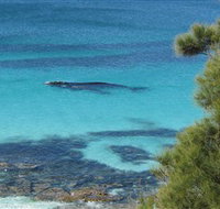 Jervis Bay Marine Park