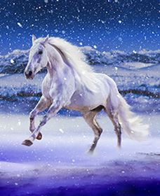 Australian Outback Spectacular: High Country Legends - Newcastle Accommodation 1