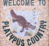 Cathcart Collectables - Newcastle Accommodation