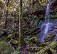 Coorabakh National Park - Newcastle Accommodation