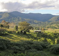 Mount Nardi picnic area - New Castle Tourism
