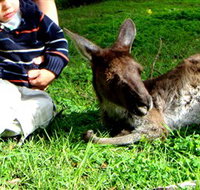 Bunbury Wildlife Park - Newcastle Accommodation