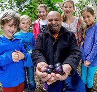 Wigay Aboriginal Culture Park - Newcastle Accommodation