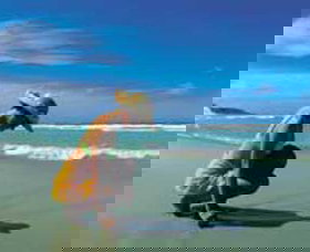 Diamond Beach - Newcastle Accommodation 0