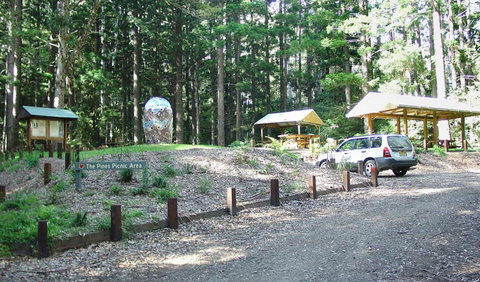 The Pines Picnic Area - Newcastle Accommodation 2