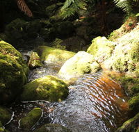 South East Forests National Park - New Castle Tourism