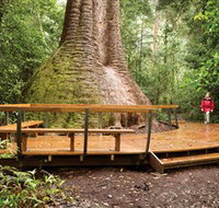 Burrawan State Forest - Newcastle Accommodation