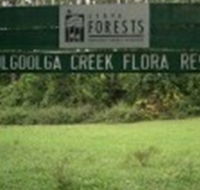 Woolgoolga Creek Flora Reserve - New Castle Tourism