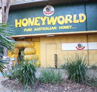 Superbee Honeyworld Gold Coast - Newcastle Accommodation