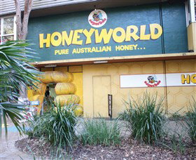 Superbee Honeyworld Gold Coast - Newcastle Accommodation 0