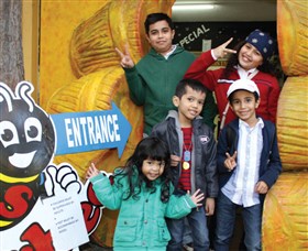 Superbee Honeyworld Gold Coast - Newcastle Accommodation 3