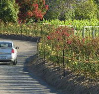 Cassegrain Wines - New Castle Tourism