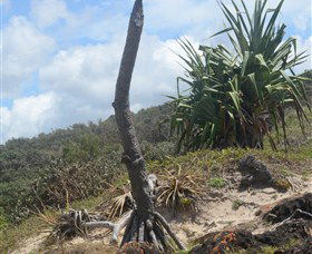 Chinamans Beach Evans Head - New Castle Tourism 2