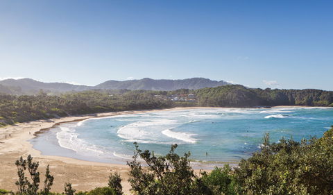 Coffs Coast Regional Park - Newcastle Accommodation 0