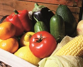 Summerland House Farm - House With No Steps - Newcastle Accommodation 1