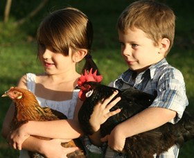 Summerland House Farm - House With No Steps - Newcastle Accommodation 2