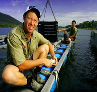 Armstrong Oysters - Newcastle Accommodation