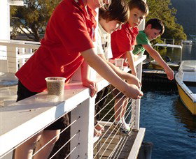 Dunbogan Boatshed - Newcastle Accommodation 3