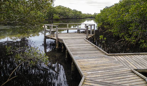 Walk On Water Walking Track - Newcastle Accommodation 1