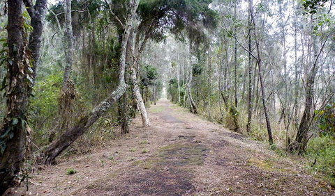 Walk On Water Walking Track - Newcastle Accommodation 2