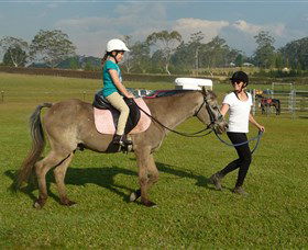 Port Macquarie Horse Riding Centre - New Castle Tourism 0