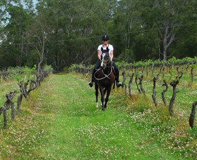 Port Macquarie Horse Riding Centre - New Castle Tourism 1