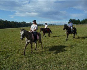 Port Macquarie Horse Riding Centre - New Castle Tourism 5