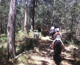 Port Macquarie Horse Riding Centre - New Castle Tourism 4
