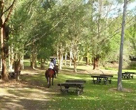 Port Macquarie Horse Riding Centre - New Castle Tourism 6