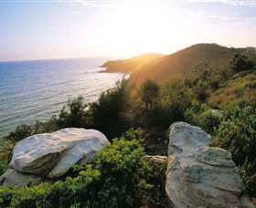 Goanna Headland - New Castle Tourism 0