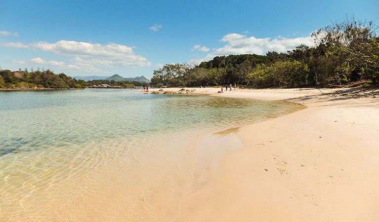 Brunswick Heads NSW Newcastle Accommodation