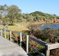 Mimosa Rocks walking track - New Castle Tourism