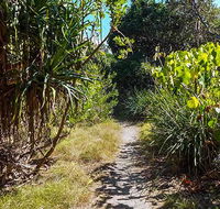 North Head walking track - New Castle Tourism