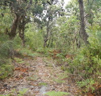 Kinchela Trig Lookout walk - Newcastle Accommodation