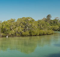 Tyagarah Nature Reserve - New Castle Tourism