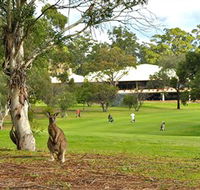 Pambula Merimbula Golf Club - New Castle Tourism