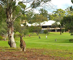 Pambula Merimbula Golf Club - New Castle Tourism 0