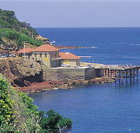 Merimbula Aquarium - New Castle Tourism