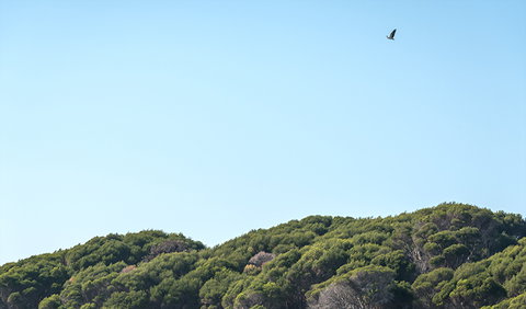 Terrace Beach And Lennards Island - Newcastle Accommodation 1