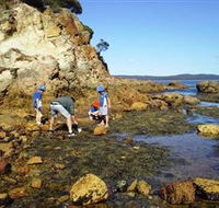 Sapphire Coast Marine Discovery Centre - New Castle Tourism