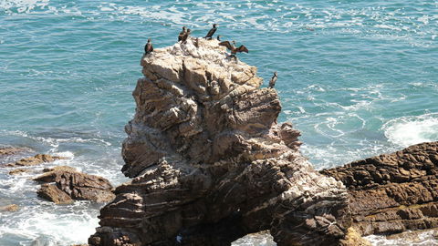 Ben Boyd National Park - New Castle Tourism 2