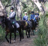Mirravale Horse Riding School - New Castle Tourism
