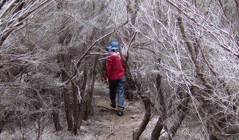 Nadgee Nature Reserve - New Castle Tourism 3