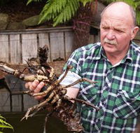 Lobster Ponds - New Castle Tourism