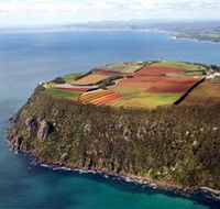 Table Cape - New Castle Tourism