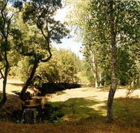Oldina Picnic Area - New Castle Tourism