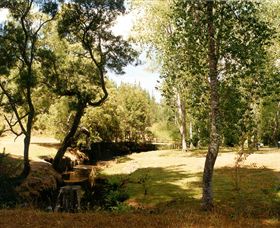 Oldina Picnic Area - New Castle Tourism 0