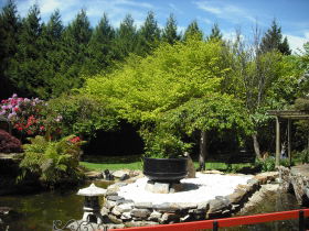 Annsleigh Gardens And Cafe - New Castle Tourism 0