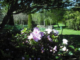 Annsleigh Gardens And Cafe - New Castle Tourism 3